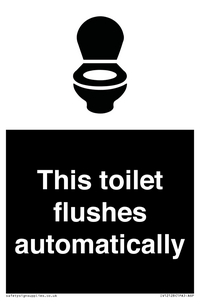 This toilet flushes automatically